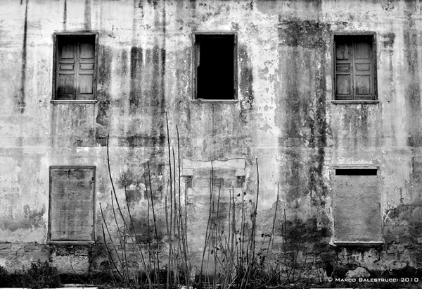 aspetta un attimo...sta per affacciarsi