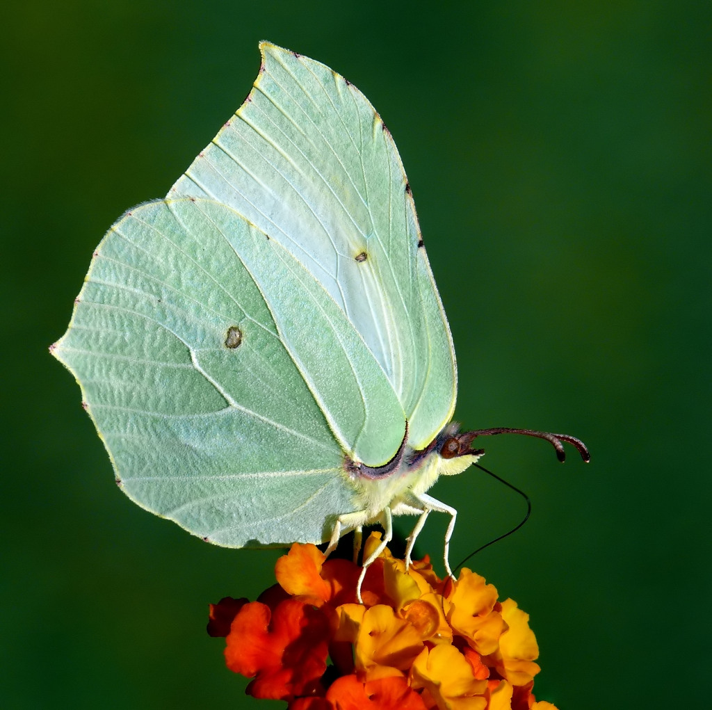 Sotto questo sole.....