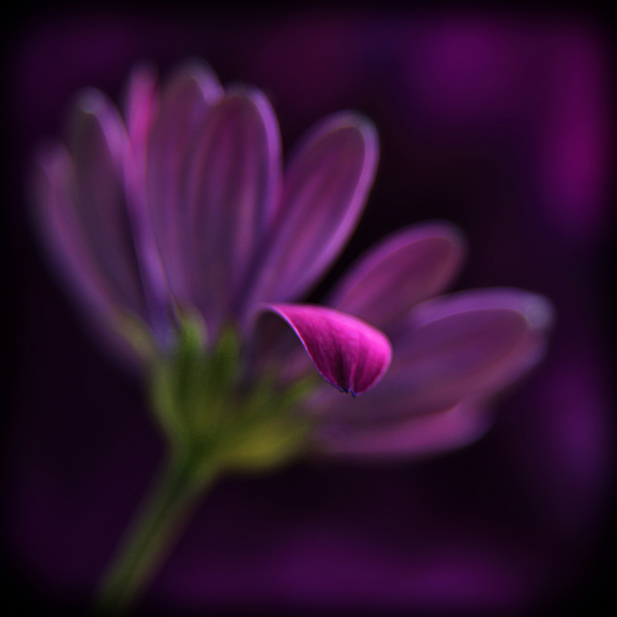 < Fuori dal gruppo >