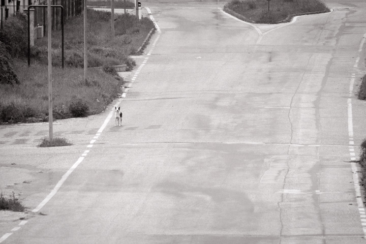 avezzano (aq) - 2009