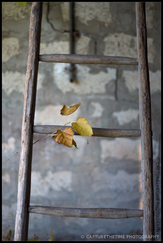 La scala e l'autunno