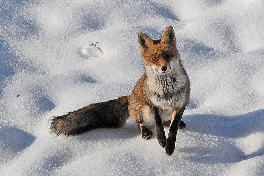 e poi mi ha salutato..