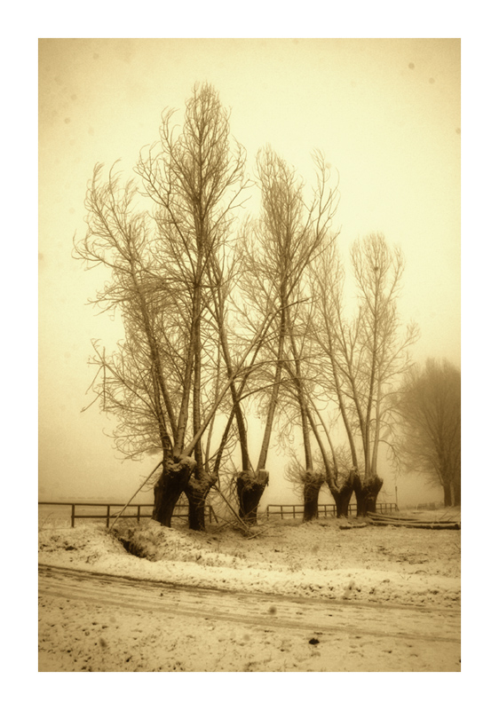 dagherrotipo odierno