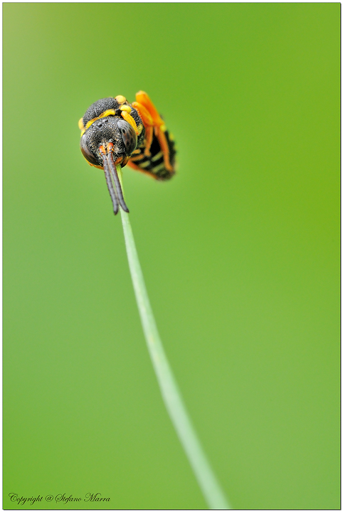 Appesa ad un filo 1�foto