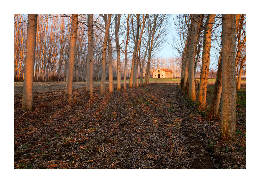 La casa delle boschine