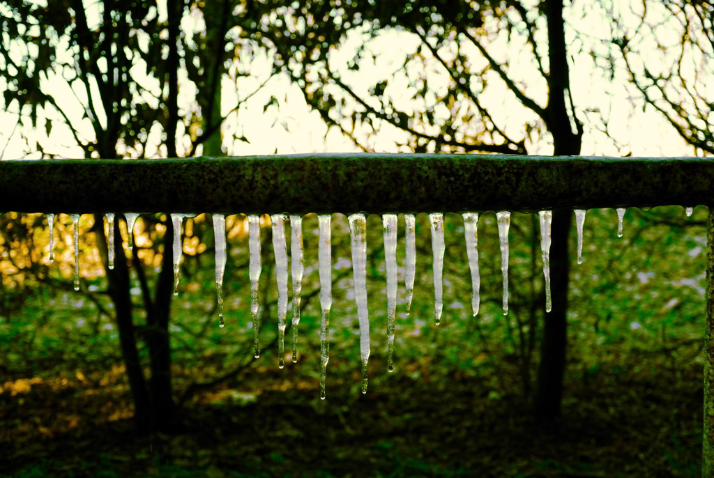 Istogramma Invernale