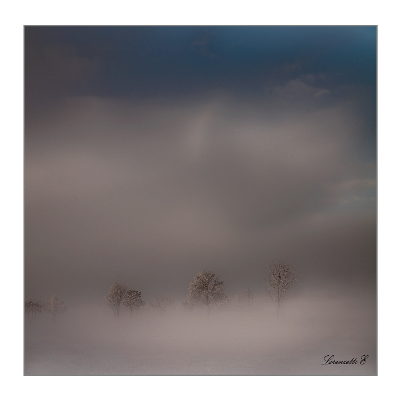 Magia nella nebbia..