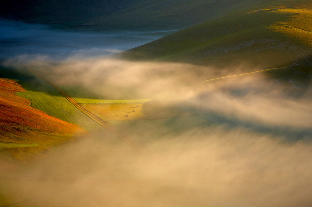 .: Light in the dark ..