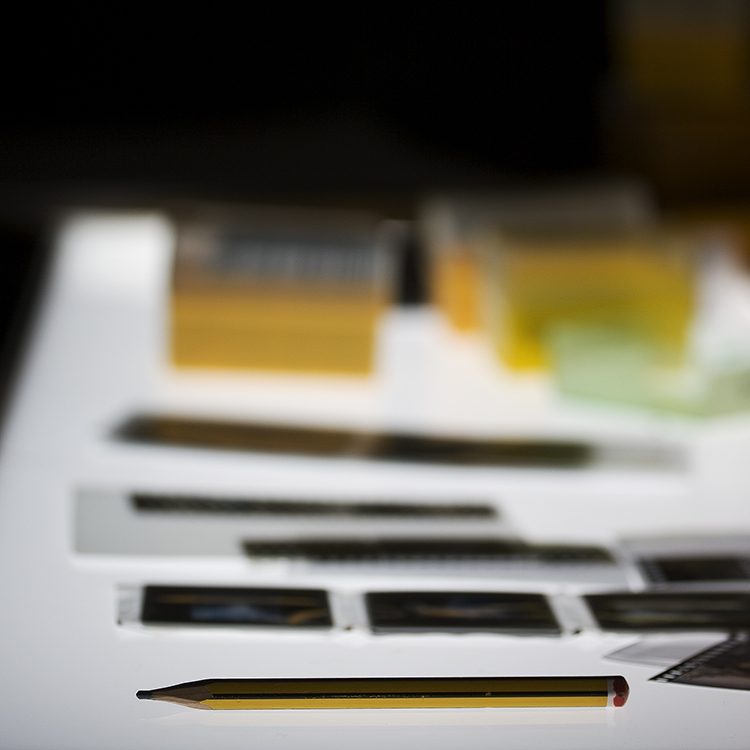 SiStavaMeglioQuandoSiStavaPeggio