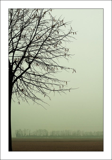 Ancora un po' di luce invernale..