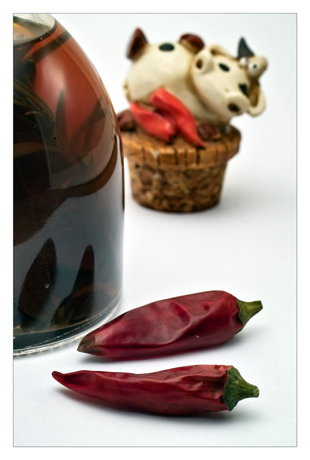 Piccante in campo bianco