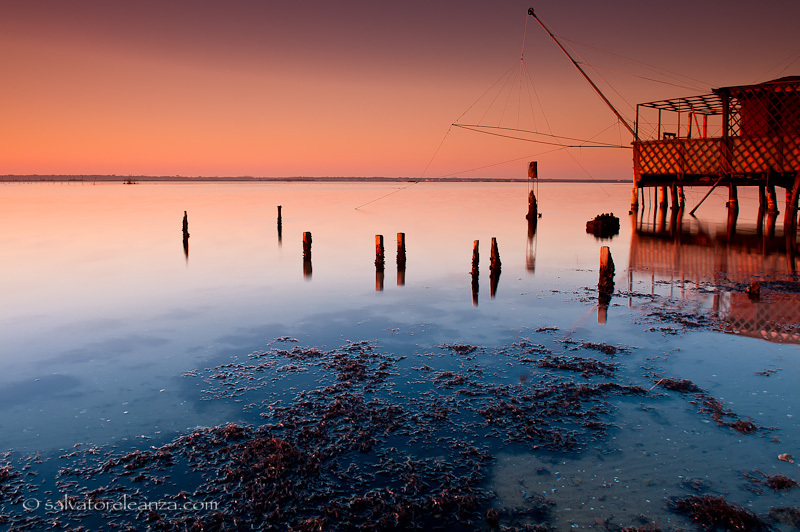 Pialassa della Baiona
