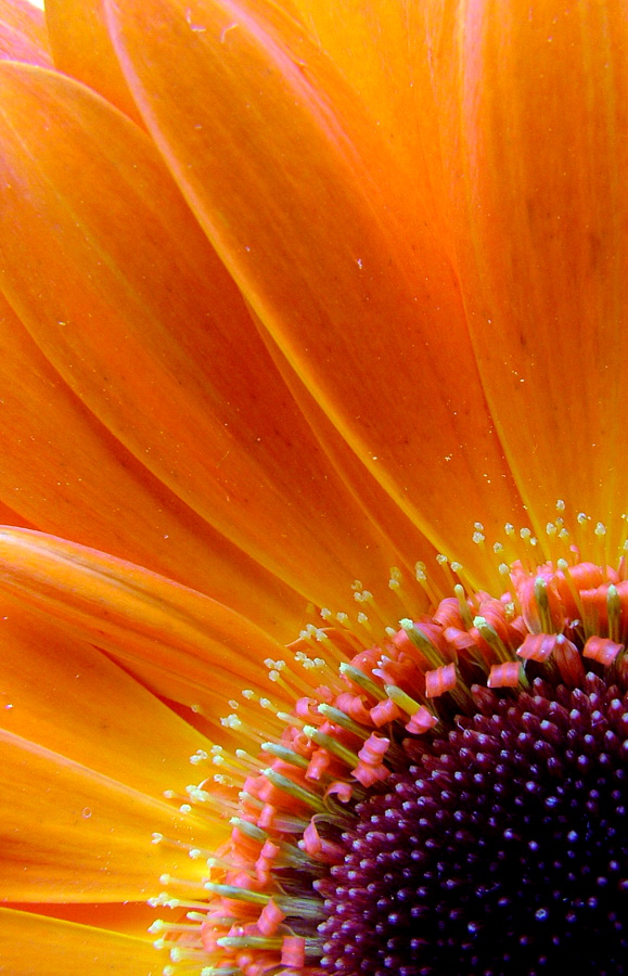 Anche il colore vuole la sua parte!