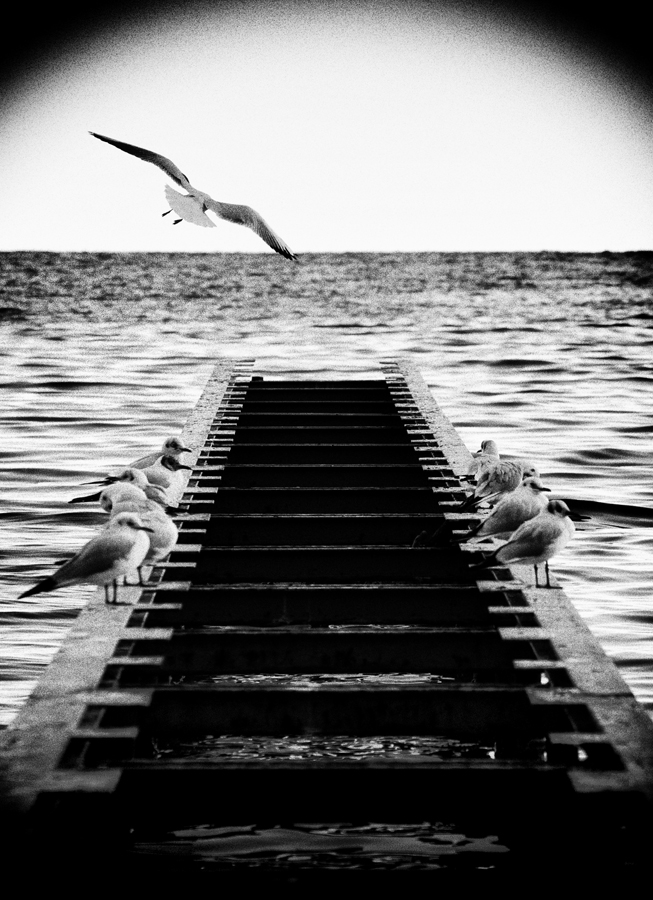 Andare e restare