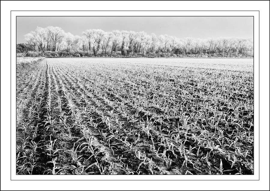 Infrarosso...naturale