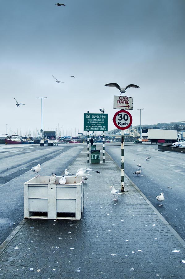 Irish harbour