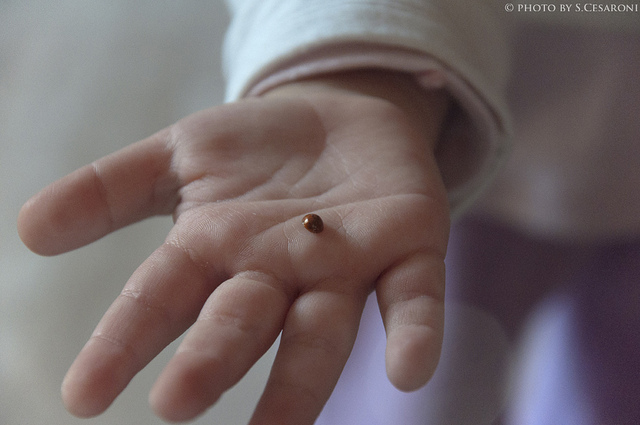 La mano che accoglie