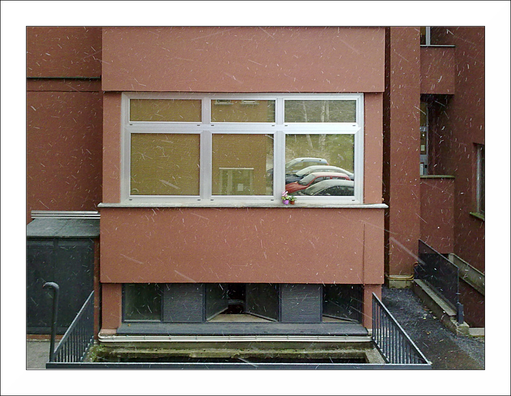 La finestra sul cortile