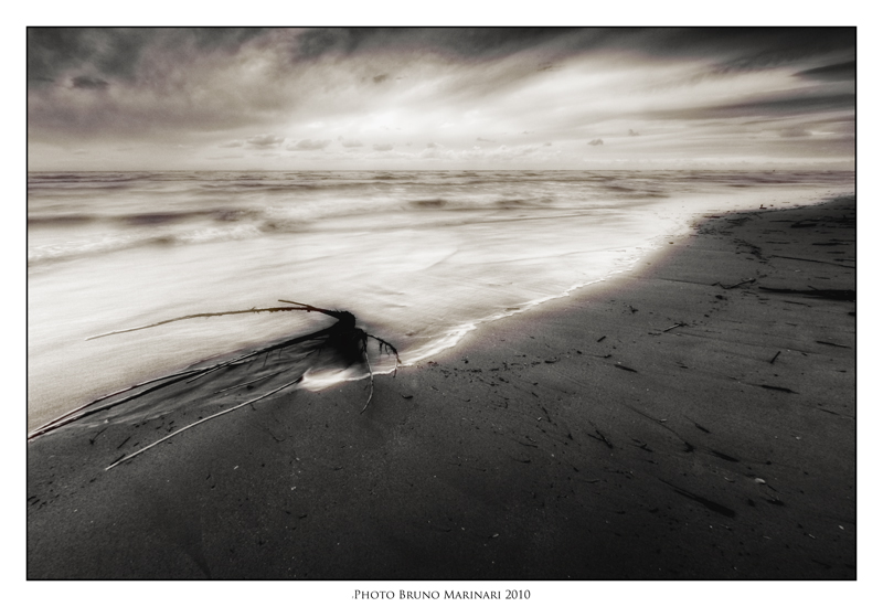 L'alba di un mondo nuovo.