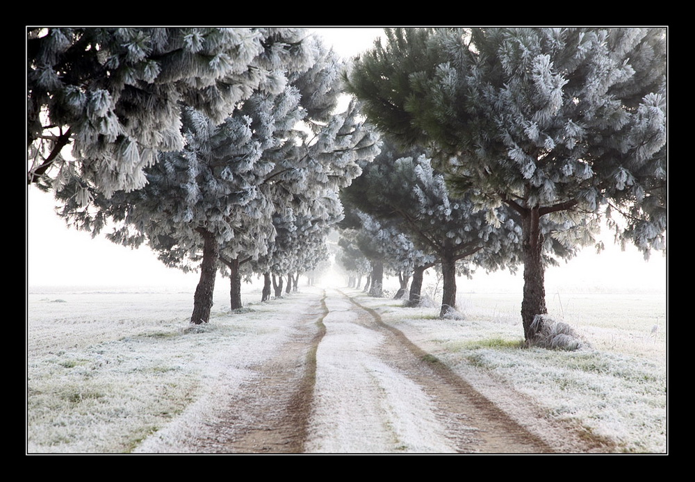 Il viale dell'Ignoto