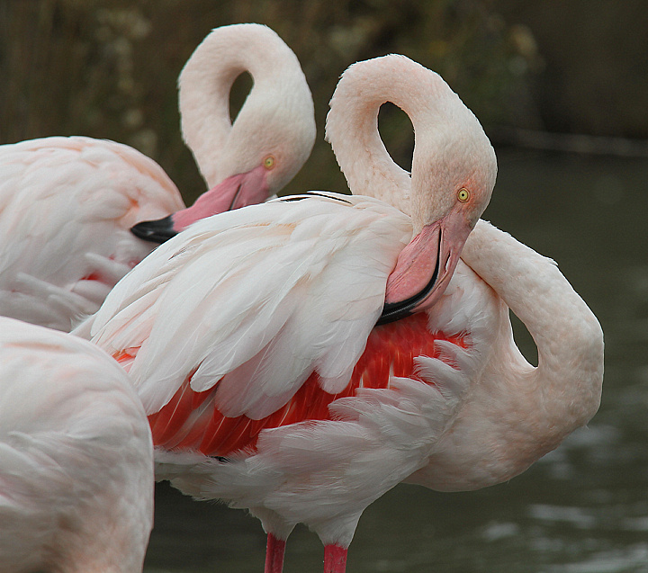 OTTO E MEZZO...........