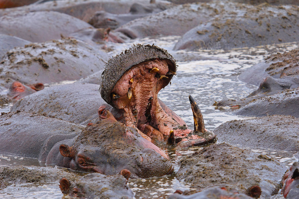 Siamo stretti... e mi sto innervosendo!