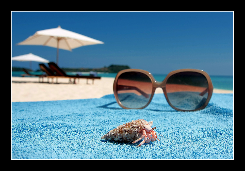 intruso...o intrusi...?