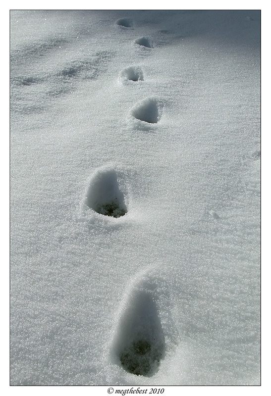 lunar snow landscape