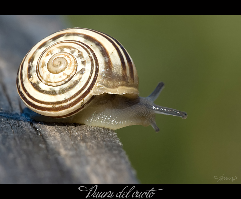 Stop!!! Paura del vuoto