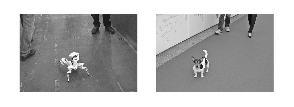 Tempi che cambiano....