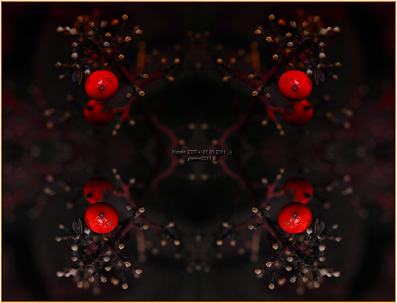 Le bacche di nandina