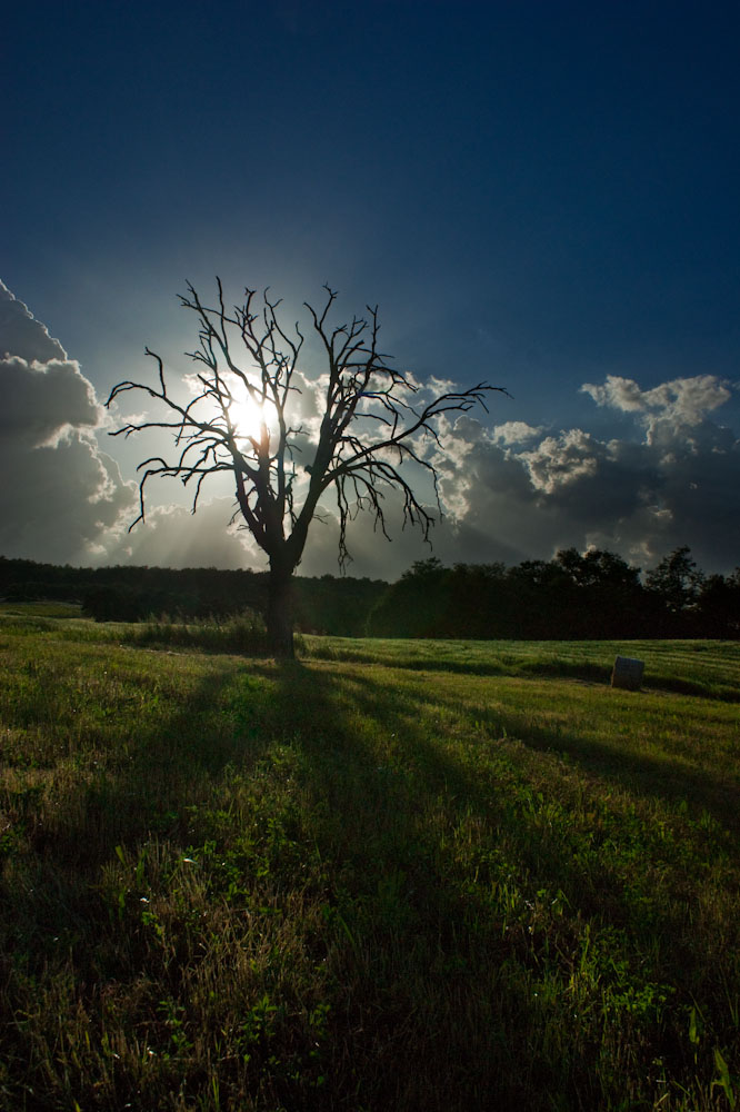 Val d'Orcia #1
