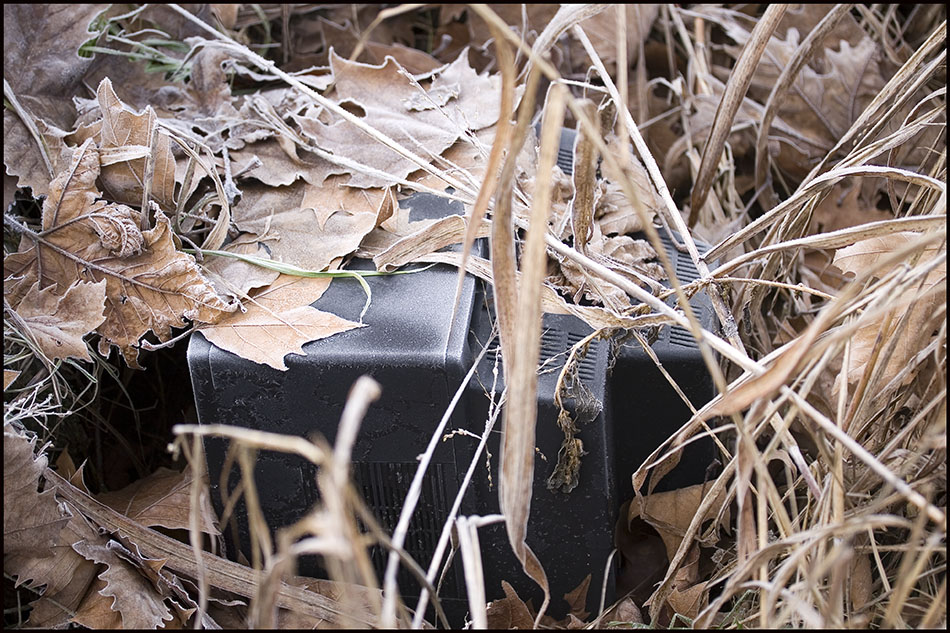 Palinsesto Invernale