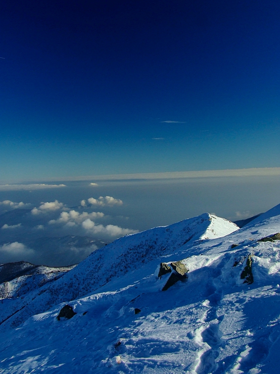 Scorcio panorama alpino