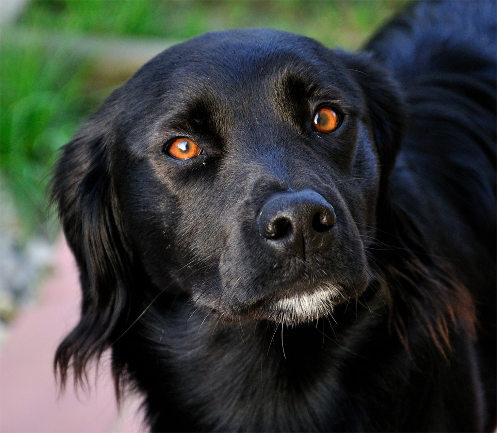 La mia modella piu' paziente