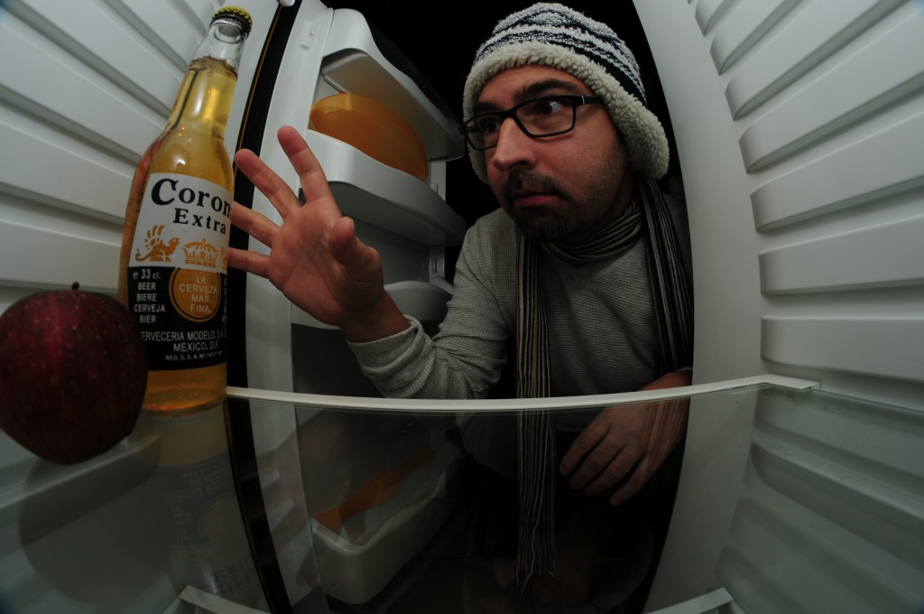 North Pole expedition