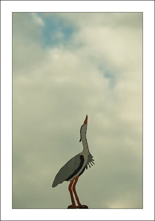 Uno sguardo alle nuvole