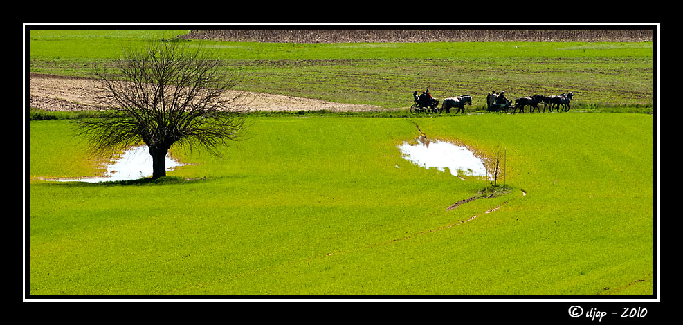 il verde di Bergamasco [AL]