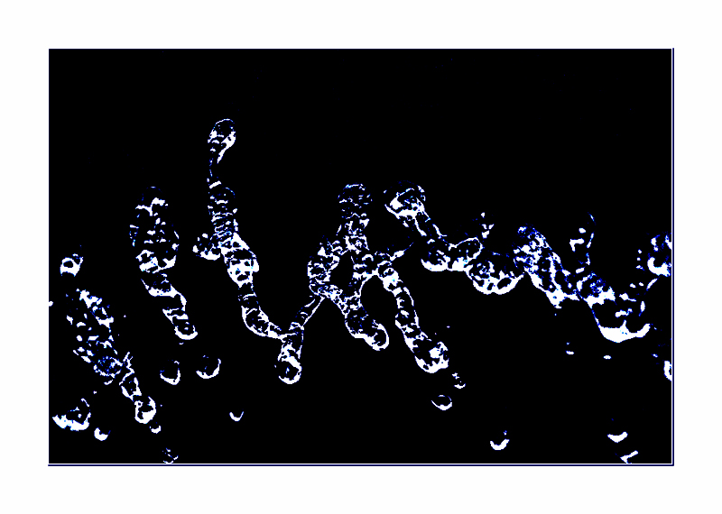 linguaggio indecifrabile