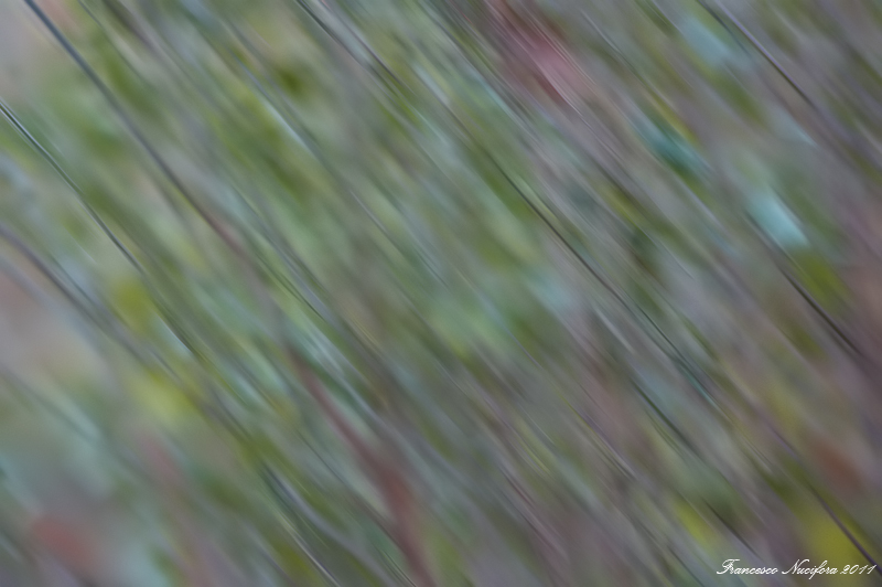 Astrattismo-in-movimento