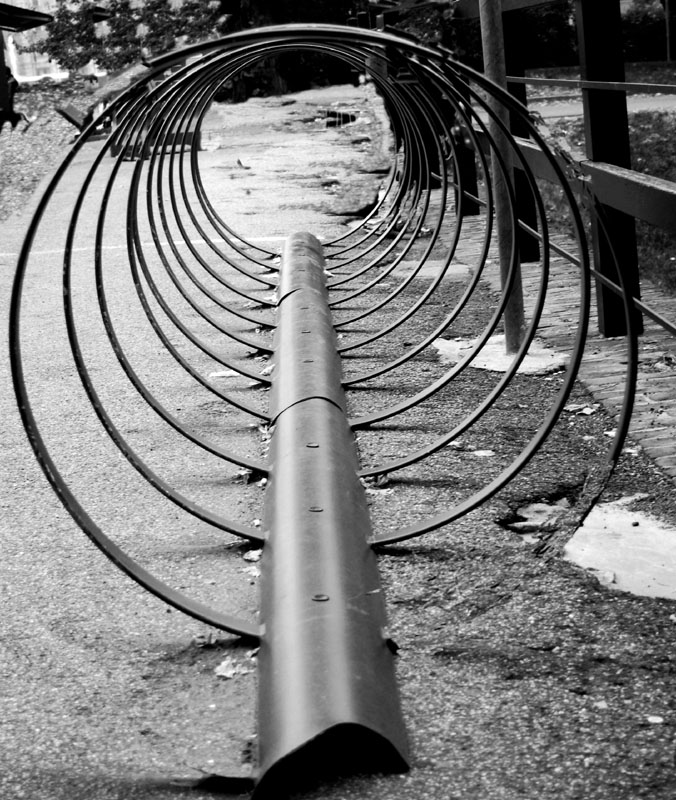 Il cerchio della vita