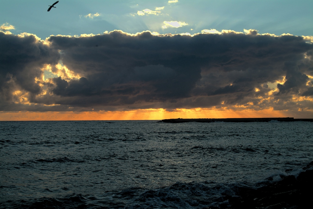 Una giornata particolare