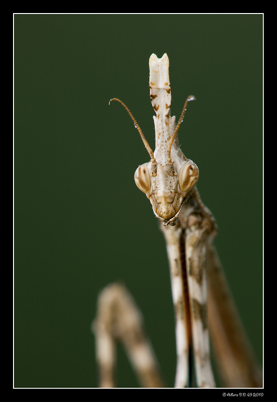 ...sguardi che si incrociano...