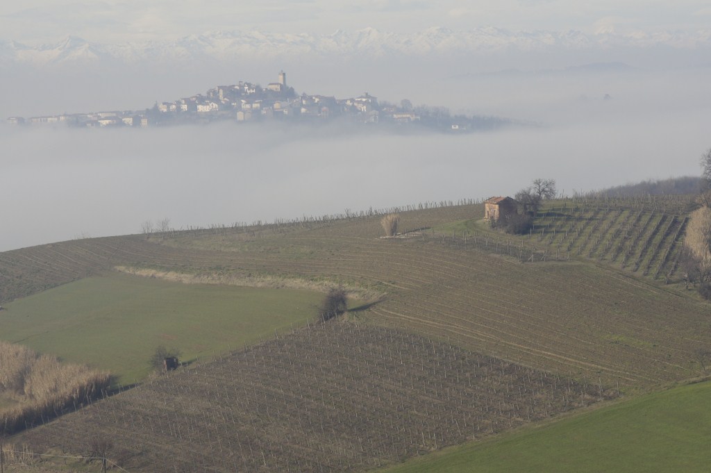 Nebbia & Monferrato
