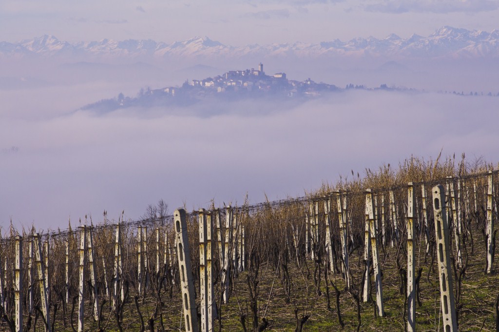 Tra Nebbia e Vigneti