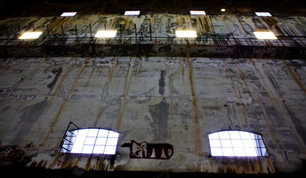 La finestra sul cortile