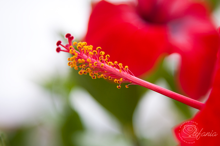 Aspettando la primavera...