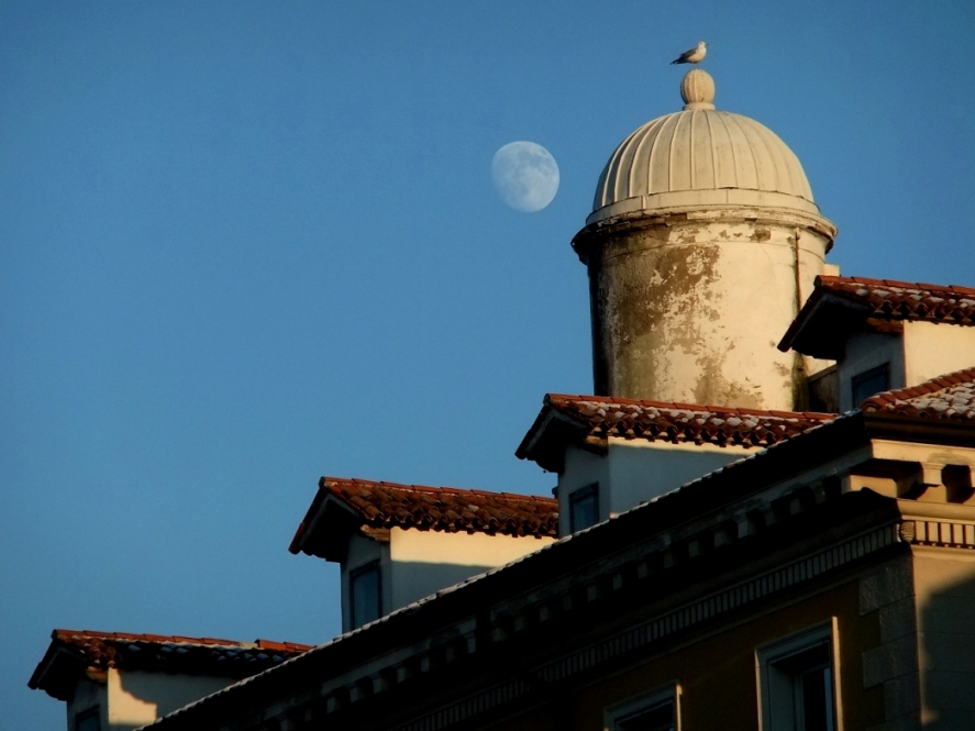 Il cielo sopra Trieste