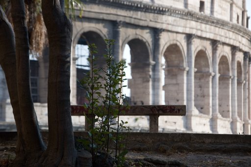 colosseo