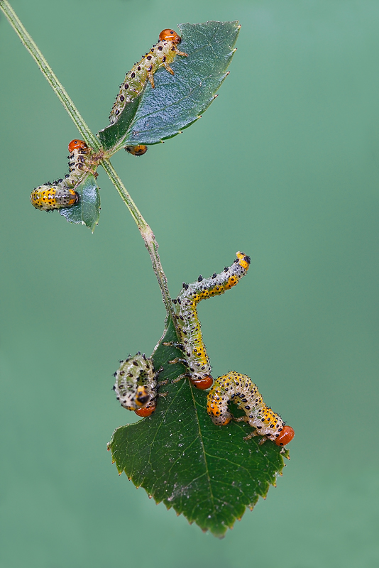 ...quel che resta...